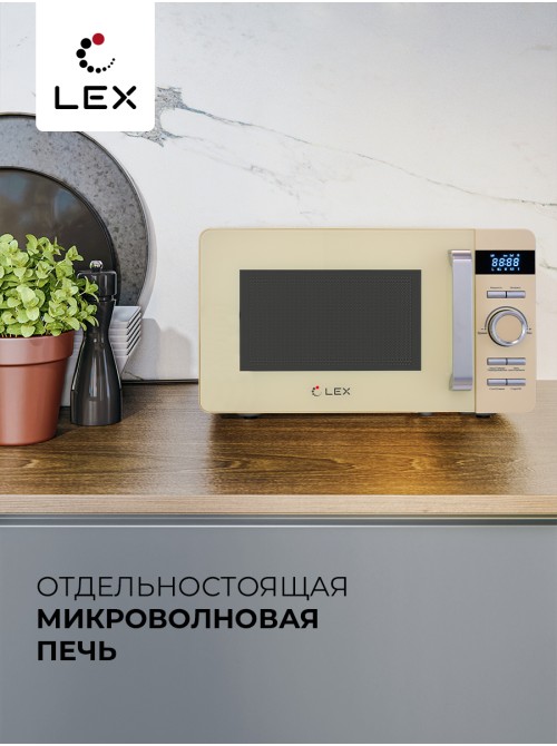 LEX FSMO D.04 IV