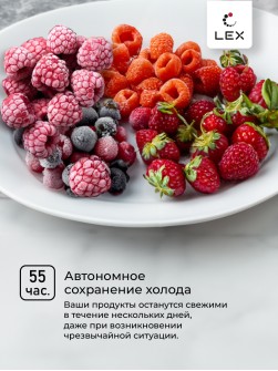 LEX LFR478
