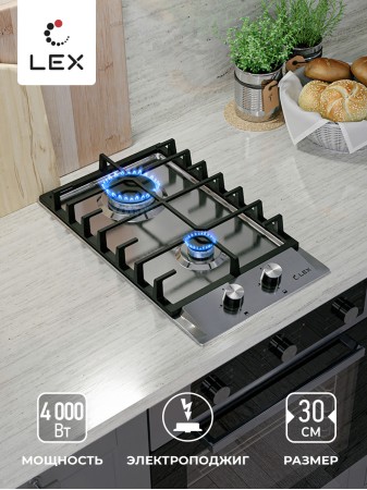 LEX GVS 321 IX